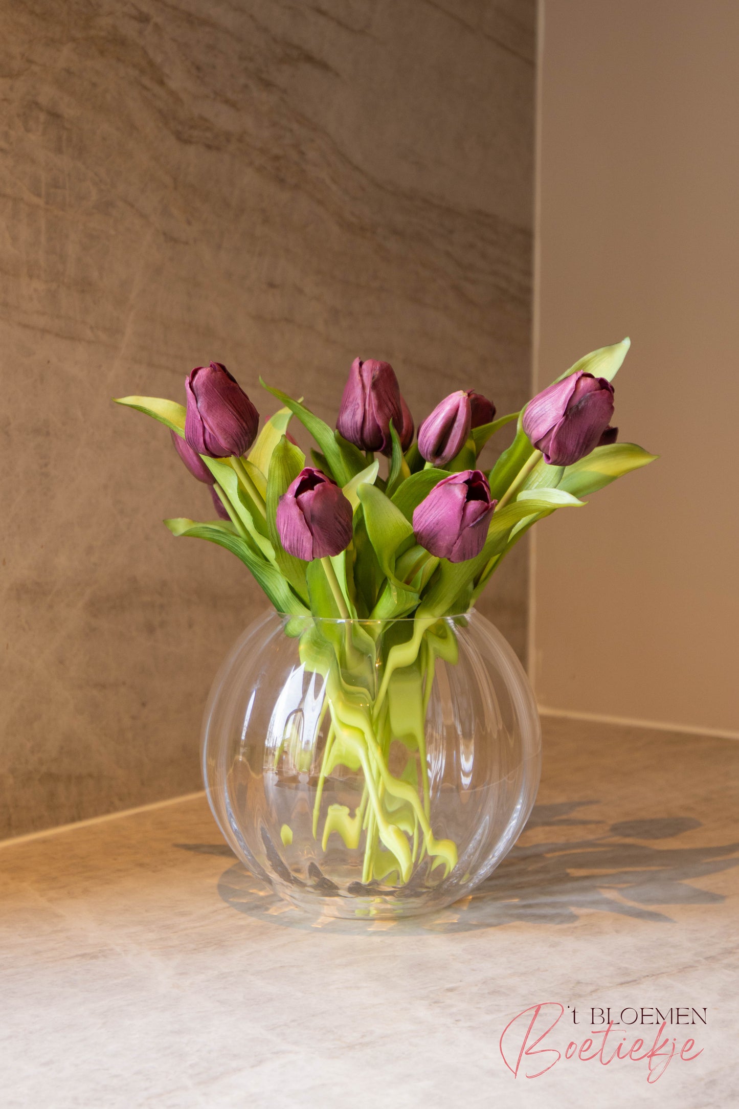 Tulpen kort paars