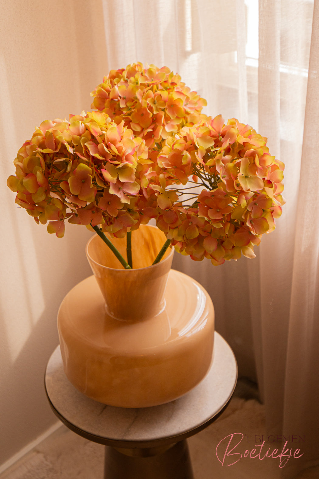Hortensia mix