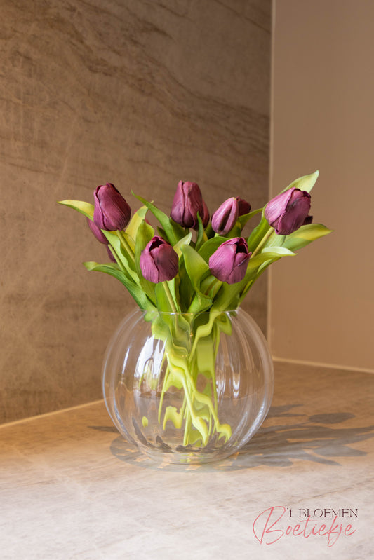 Tulpen kort paars