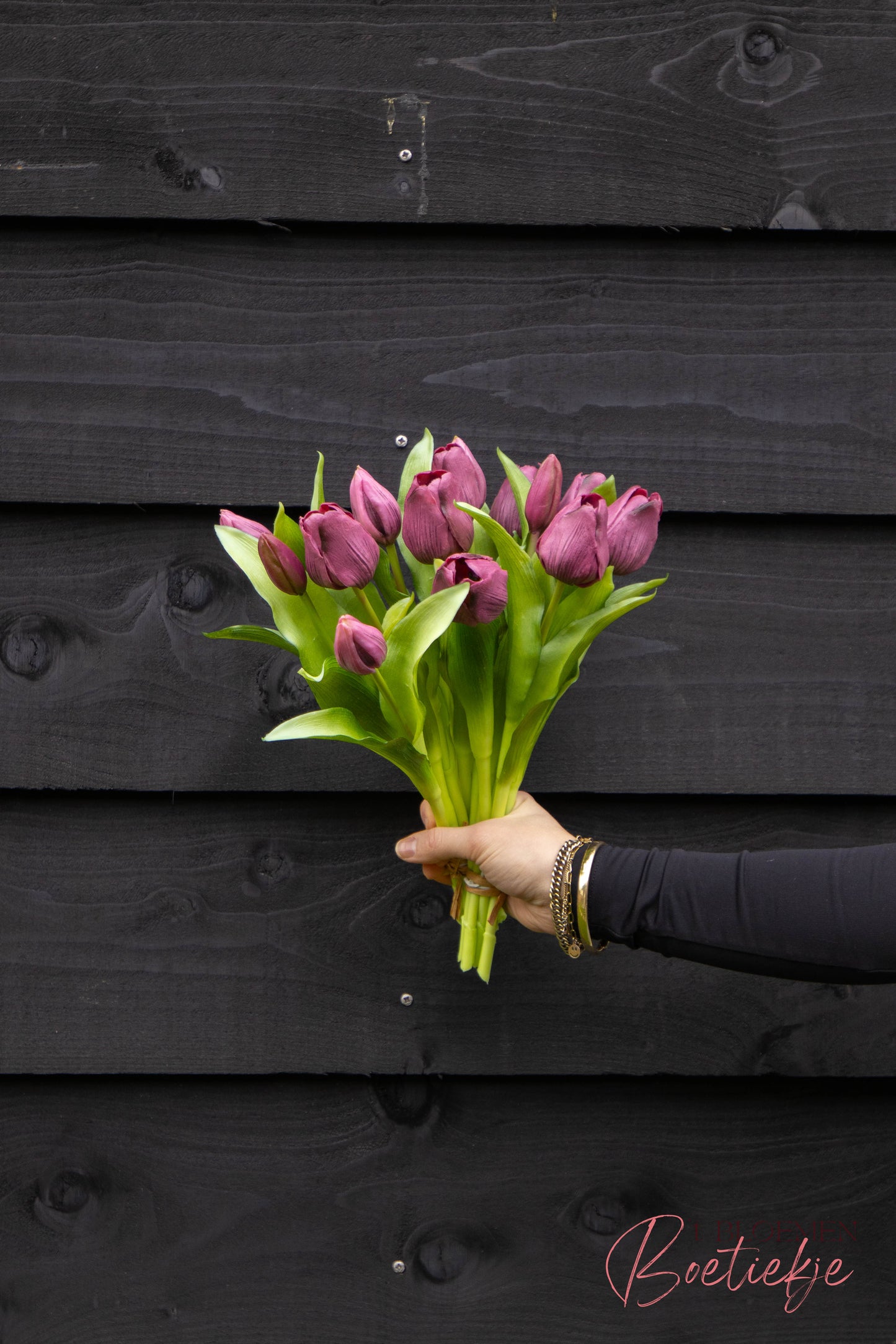 Tulpen kort paars