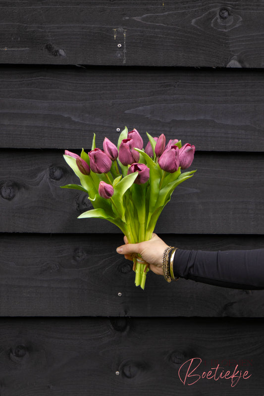 Tulpen kort paars