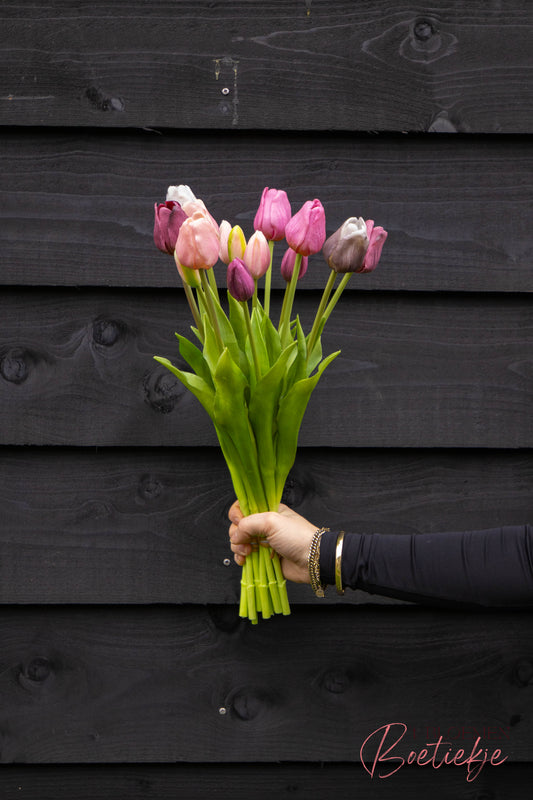 Tulpen lang paars mix