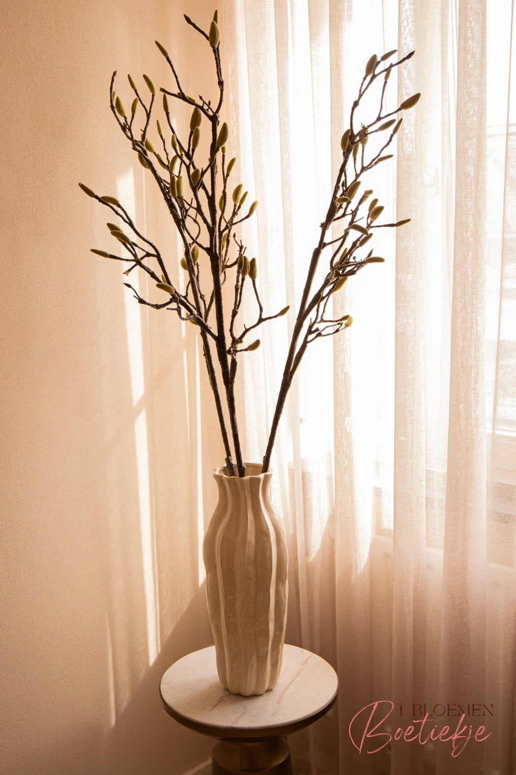 Magnolia