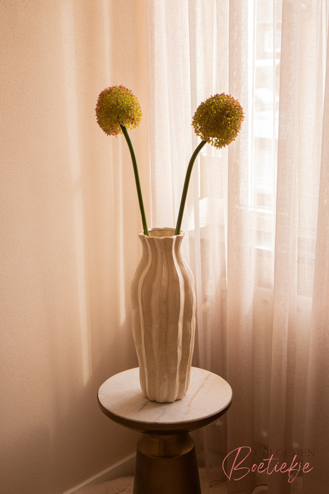 Allium tak