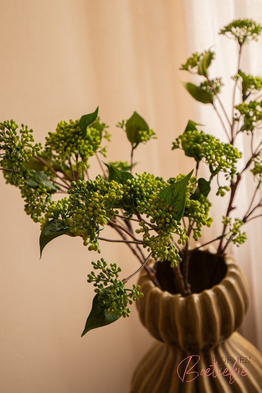 Tak Hydrangea