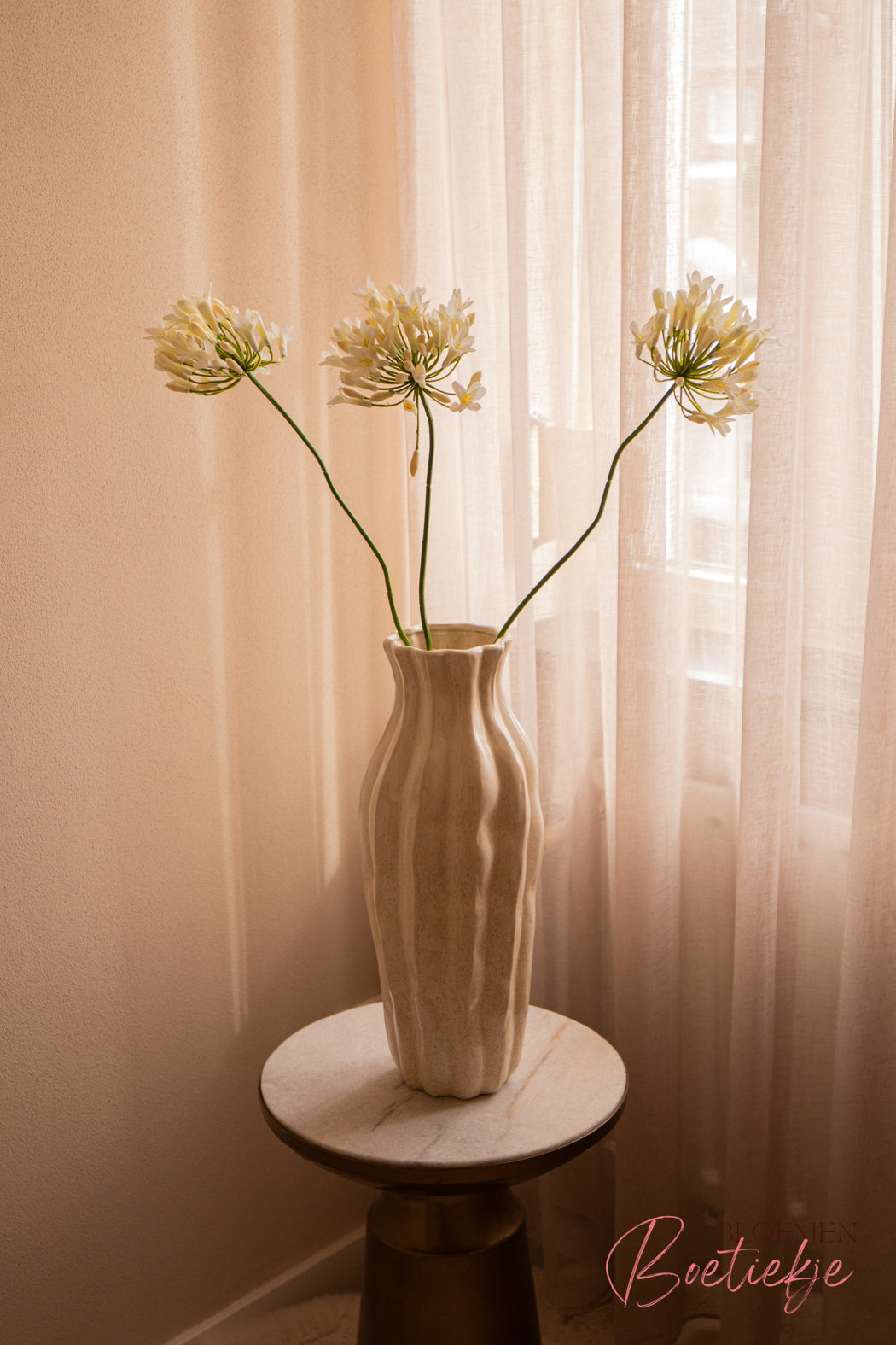 Tak Agapanthus