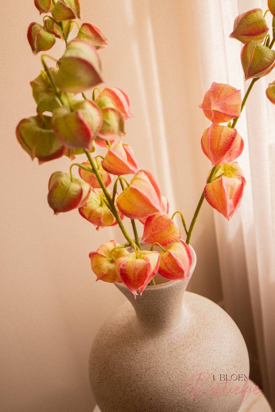 Tak Physalis Lantern