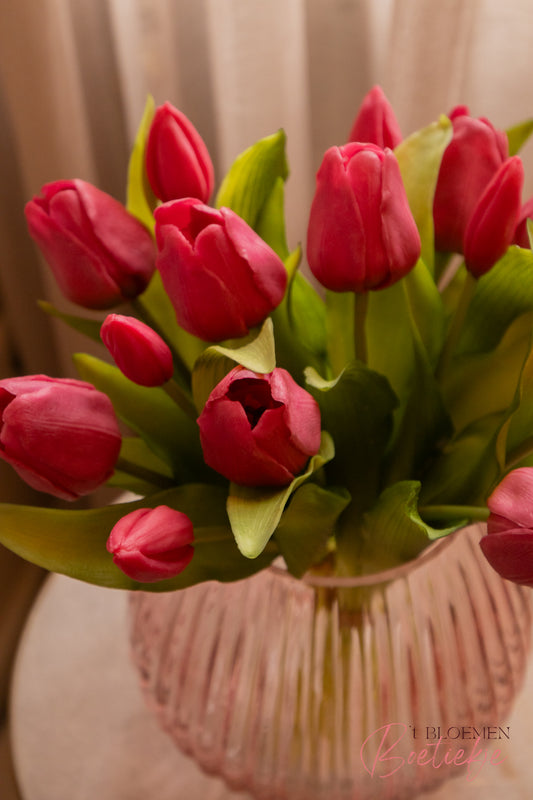 Tulpen kort cerise