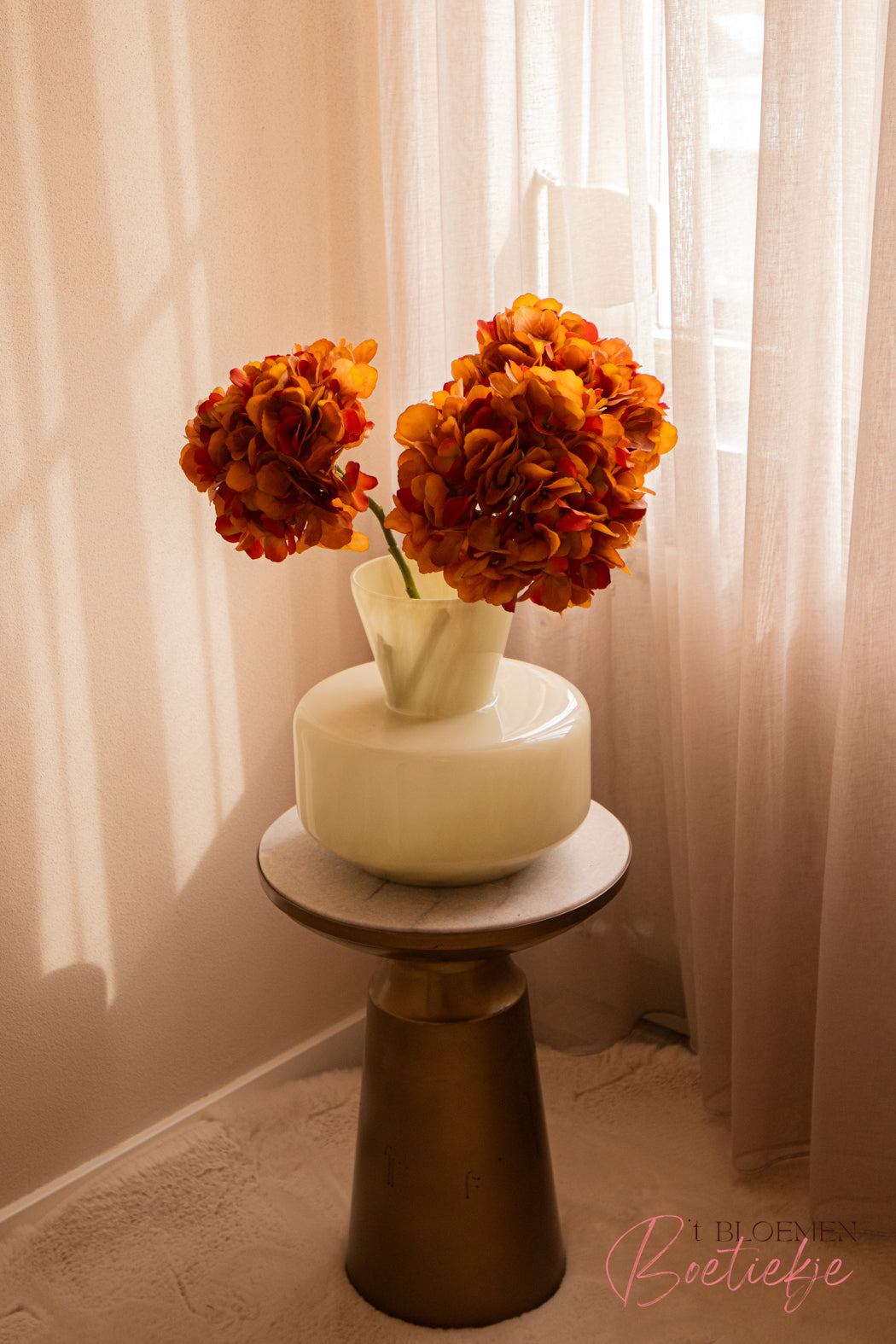 Hortensia oranje