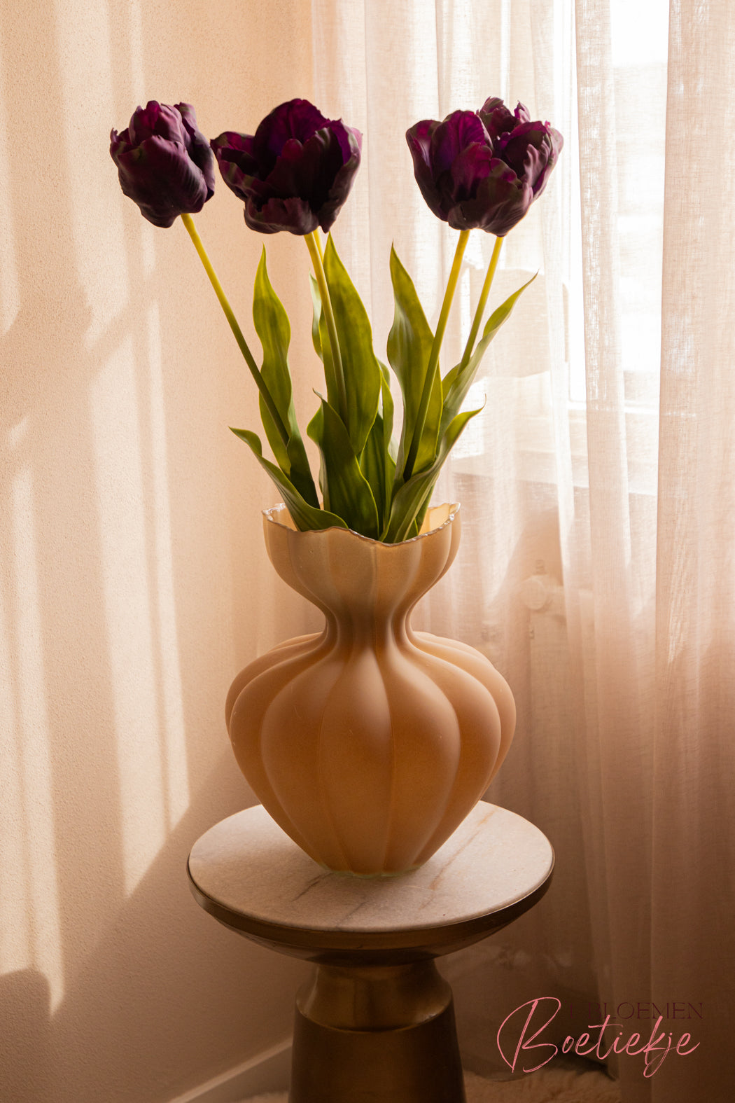Tulp paars