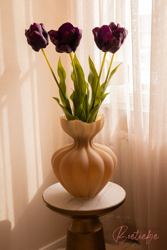 Tulp paars