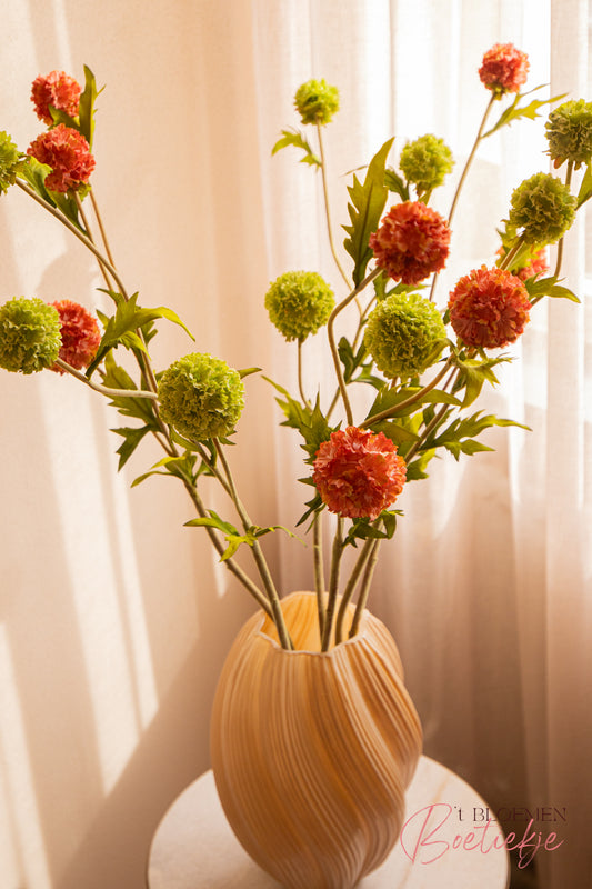 Tak Allium Pompon groen