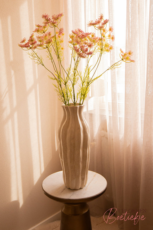 Tak Queen Anne’s Lace