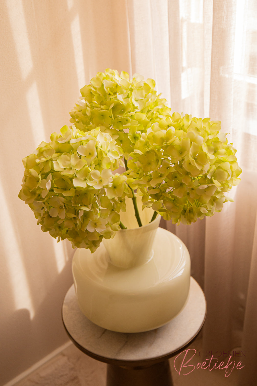 Hortensia wit